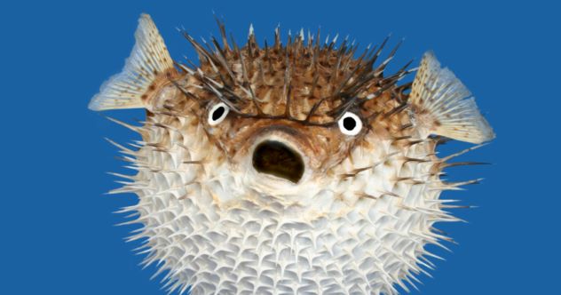 10 Things That Exist (But Not in the Way You Think)