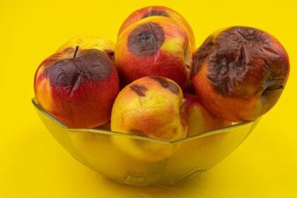 10 of the Most Bizarre Things Ever Dumped