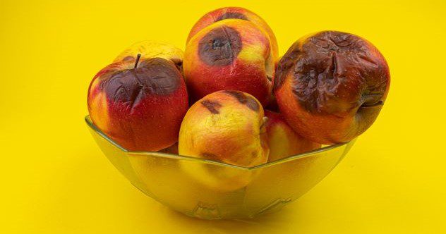 10 of the Most Bizarre Things Ever Dumped