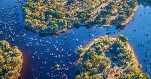 10 Images That Capture The Beauty Of Africa