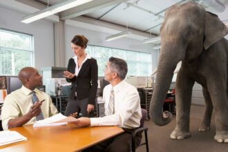 Why Do We Use the Phrase “Elephant in the Room”?