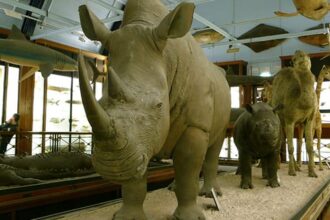 Top 10 Attractions To Visit For A Weird Tour Of Europe