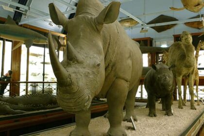 Top 10 Attractions To Visit For A Weird Tour Of Europe