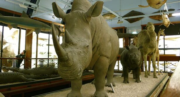 Top 10 Attractions To Visit For A Weird Tour Of Europe