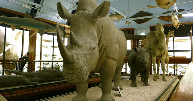 Top 10 Attractions To Visit For A Weird Tour Of Europe