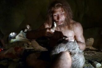 Top 10 Bizarre And Unexpected Foods From The Real Paleo Diet