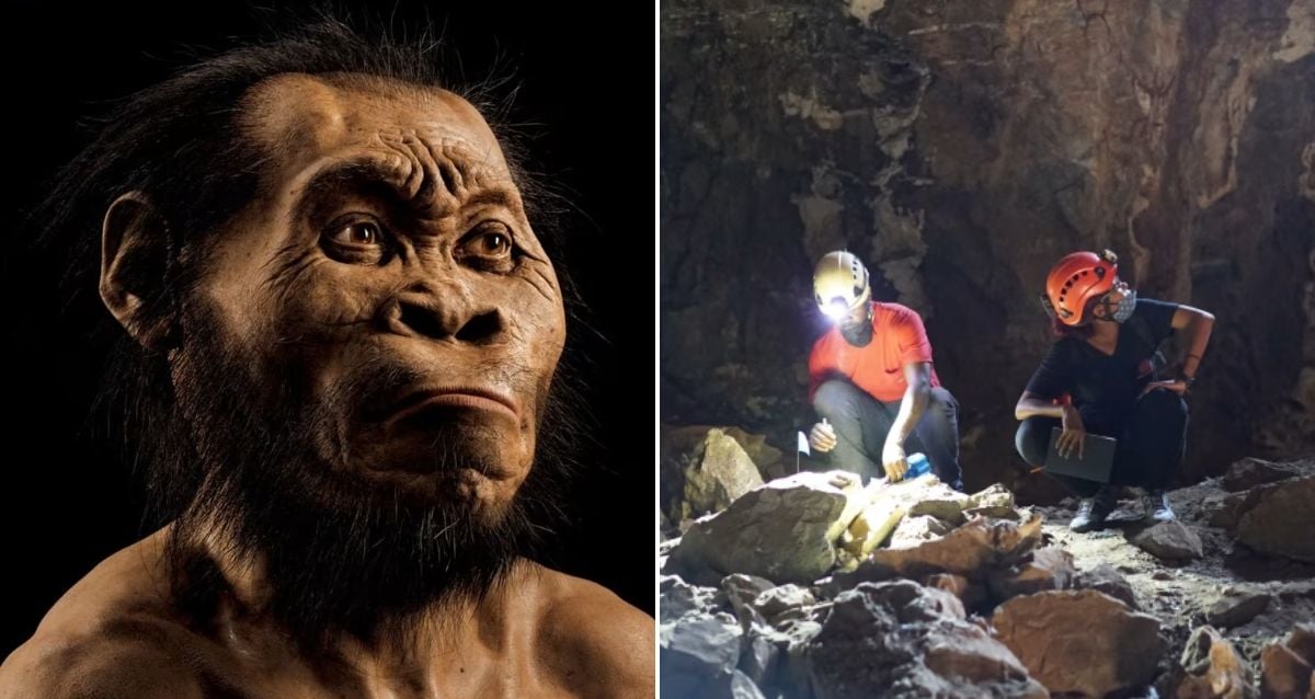 Homo Naledi Skeletons Found South Africa Are All Female