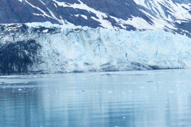 11 Intriguing Antarctic Ice Sheets Facts