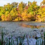10 People Who Went Missing in Mammoth Cave National Park