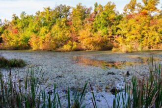 10 People Who Went Missing in Mammoth Cave National Park