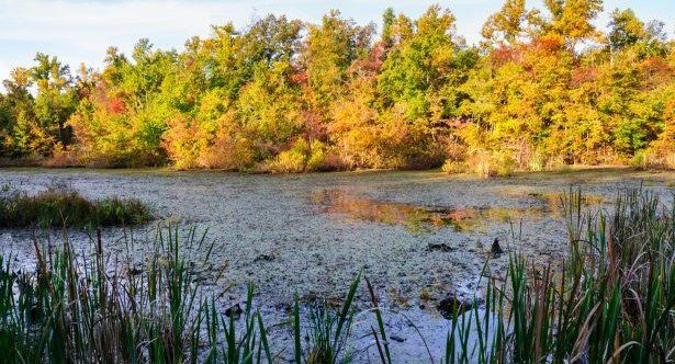 10 People Who Went Missing in Mammoth Cave National Park