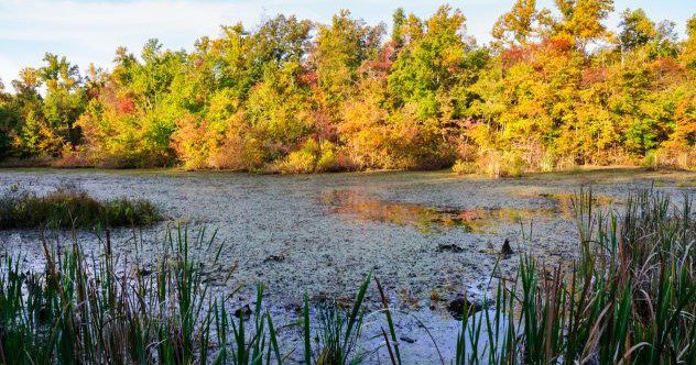 10 People Who Went Missing in Mammoth Cave National Park