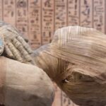 10 Creepy Historical Facts You Were Never Taught in School