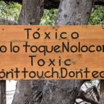 Top 10 Fatal Attacks From Fresh Fruit