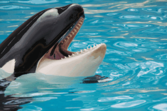 10 Documentaries That Changed Public Perception