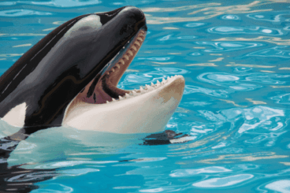 10 Documentaries That Changed Public Perception