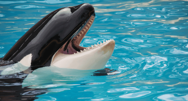 10 Documentaries That Changed Public Perception