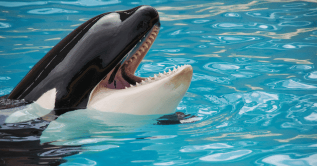 10 Documentaries That Changed Public Perception
