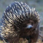 10 Crazy Things Nature Does with Mucus