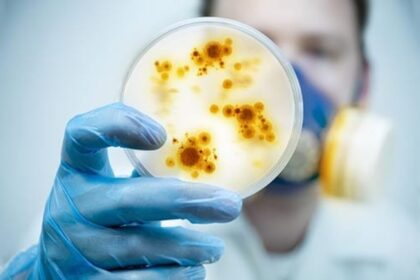 Top 10 Reasons To Believe the Wuhan Virology Lab Caused 2019-nCoV
