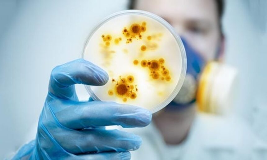 Top 10 Reasons To Believe the Wuhan Virology Lab Caused 2019-nCoV