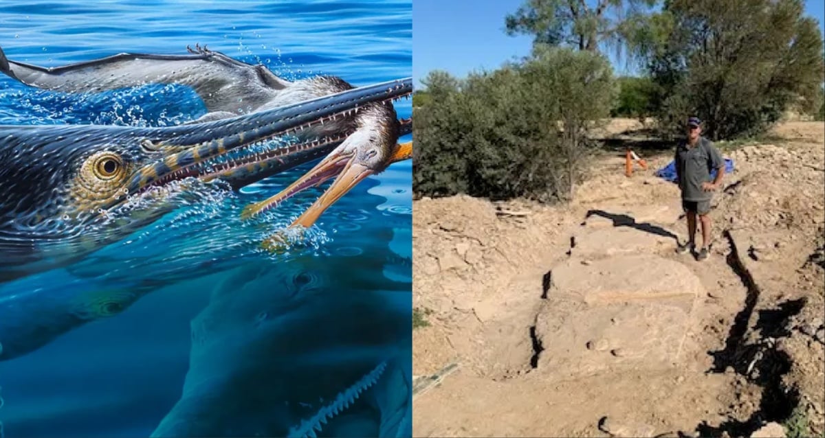 Fossil Shows A Pterosaur Eaten By An Ichthyosaur Eaten By A Pliosaur