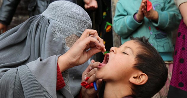 Top 10 Infectious Diseases Man Has Triumphed Over