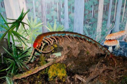 10 Ancient Earth Events That Sound Like Sci-Fi Plot Devices